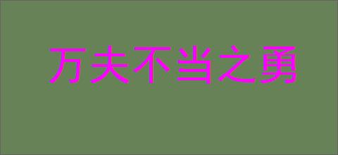 万夫不当之勇
