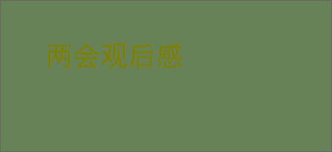 两会观后感