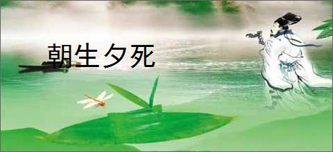 朝生夕死