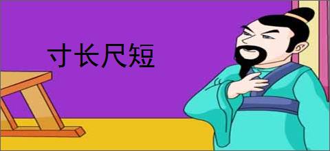 寸长尺短