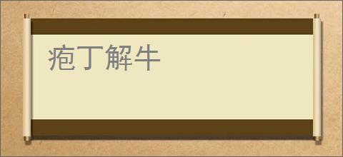 疱丁解牛