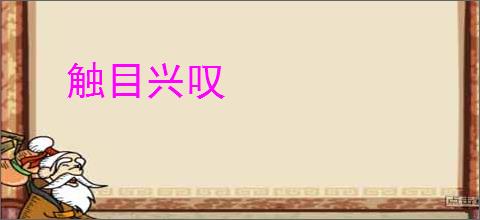 触目兴叹