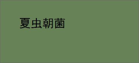 夏虫朝菌