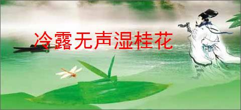 冷露无声湿桂花