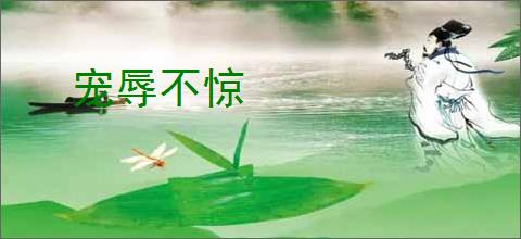 宠辱不惊