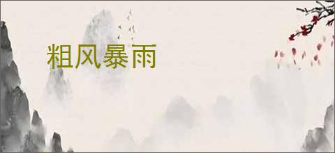 粗风暴雨