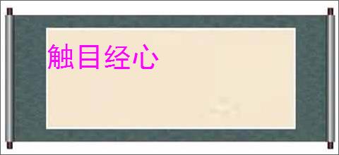 触目经心