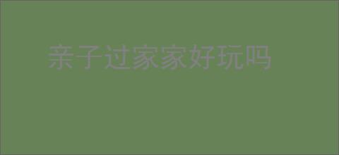 亲子过家家好玩吗
