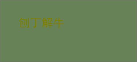 刨丁解牛