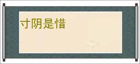 寸阴是惜