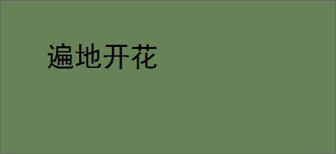 遍地开花