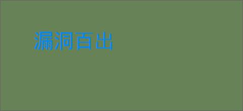 漏洞百出
