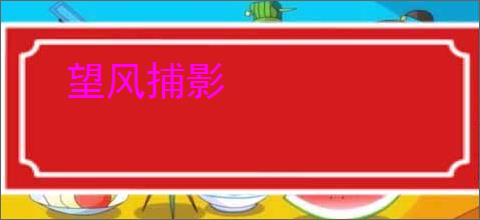 望风捕影