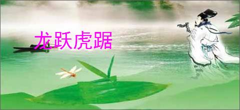 龙跃虎踞
