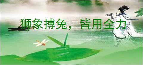 狮象搏兔，皆用全力